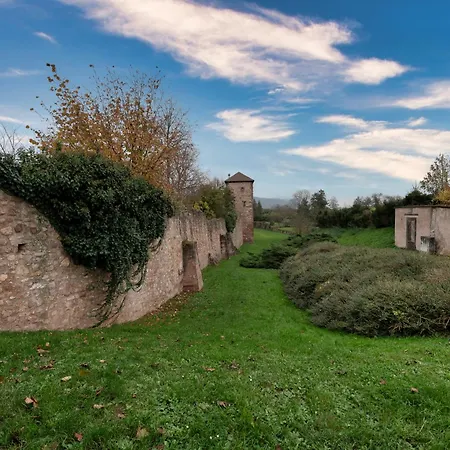 S'Huesli - Maison Vigneronne Au Coeur Du Vignoble Bergheim Exterior photo