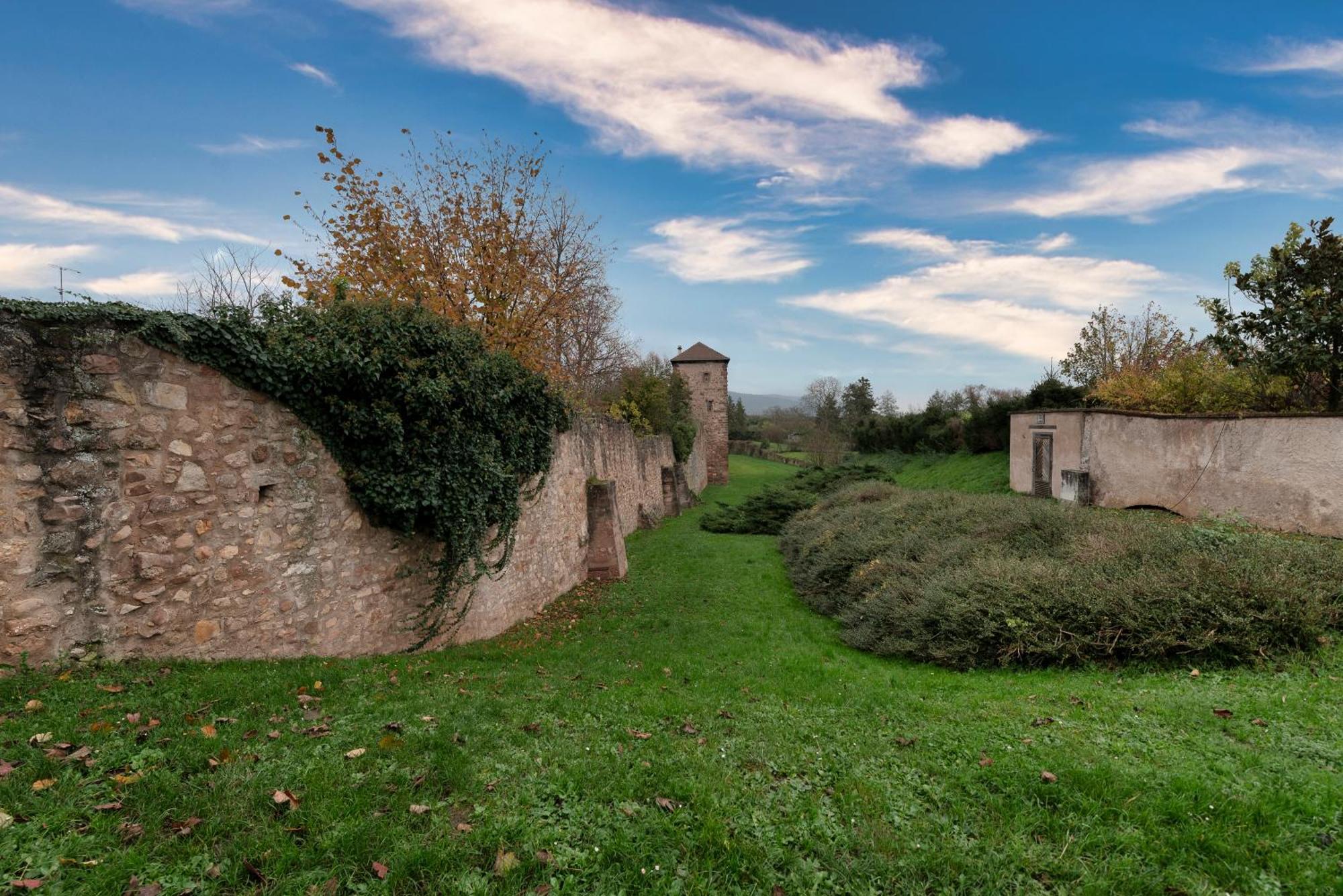 Holiday home S'huesli - Maison Vigneronne Au Coeur Du Vignoble *